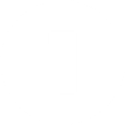 Organizational capacity building